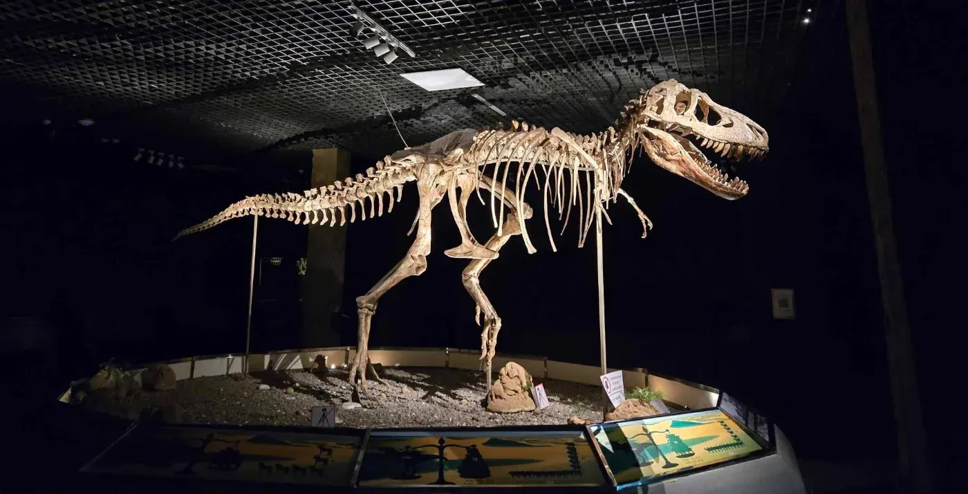 Дунд Төрмөлийн Танхим - The Mesozoic Era