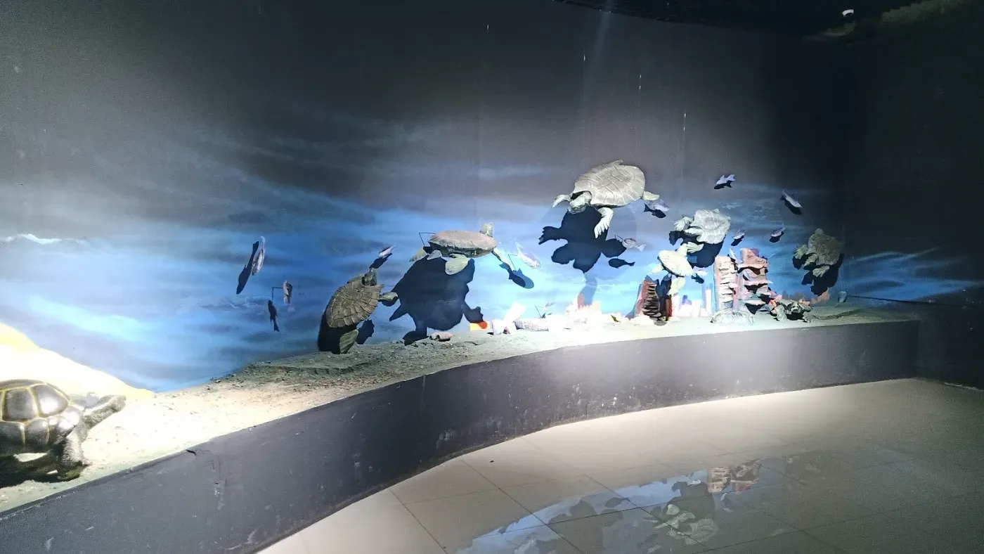 Дунд Төрмөлийн Танхим - The Mesozoic Era